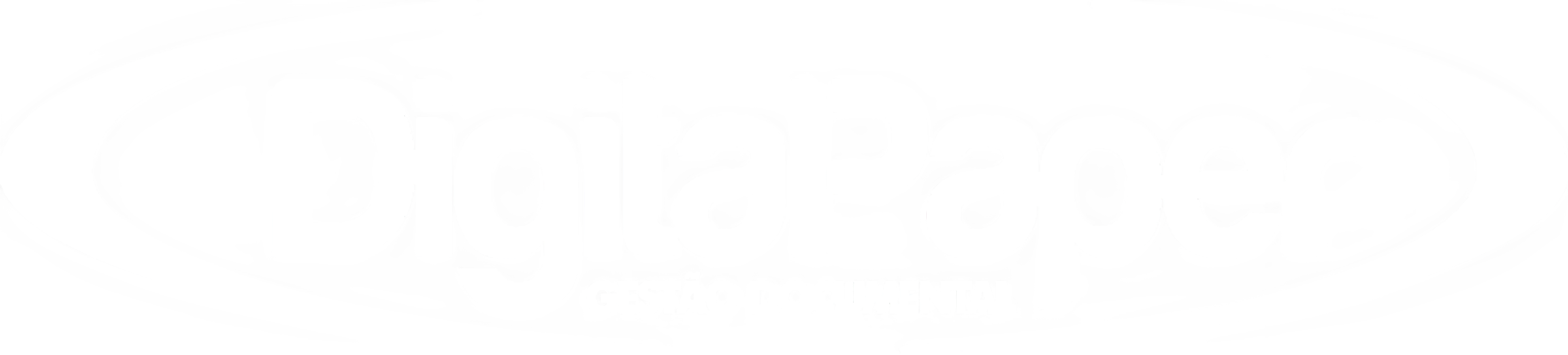Digital Paper Logo